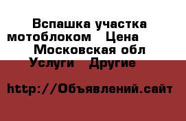 Вспашка участка мотоблоком › Цена ­ 700 - Московская обл. Услуги » Другие   